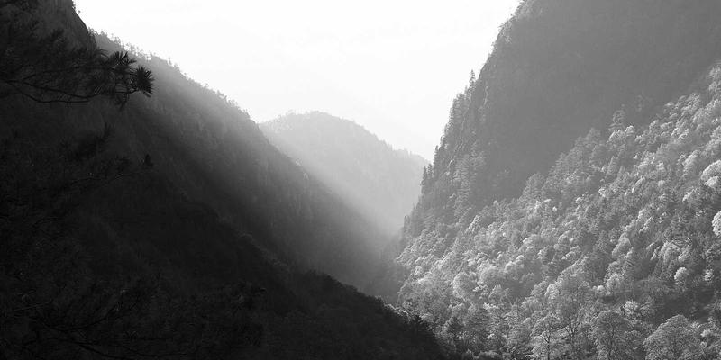 解密高端驾乘核心：空气悬架与电磁减震器原理、优劣及适配车型全解析